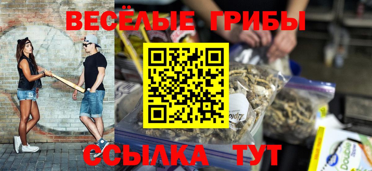 Курчалой  Псилоцибиновые грибы MAGIC MUSHROOMS  Вход с VPN 